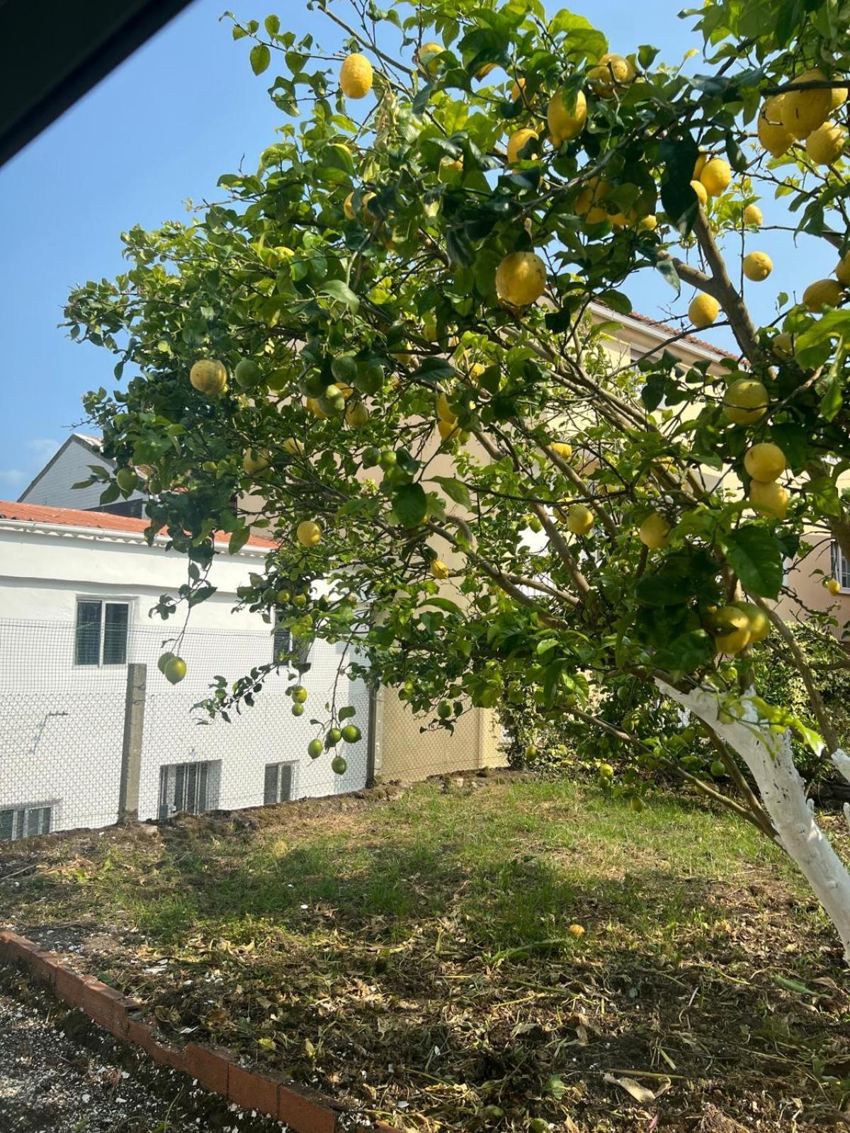 Villa Casa Familiar Con Barbacoa à Finisterre Extérieur photo
